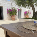 Egnazia Dual Light - Image 2