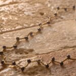 Blu Monochrome – Egnazia Notturna - immagine 6